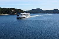 IMG 5221