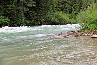 IMG 5235