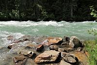 IMG 5239