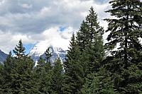 IMG 5246