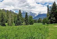 IMG 5248