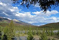 IMG 5311