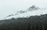 IMG 5387