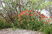 IMG 5416