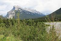 IMG 5425