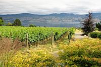 IMG 5456