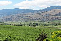 IMG 5474