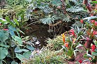 IMG 5503