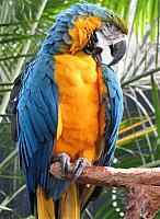 IMG 5514