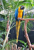 IMG 5516