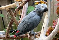 IMG 5527