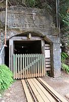 IMG 5567