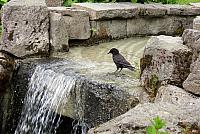 IMG 5593
