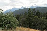 IMG 5594