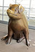IMG 5614