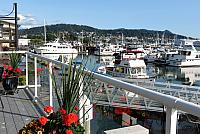 IMG 5633