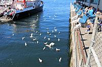 IMG 5638