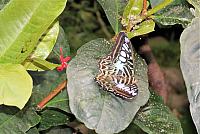 IMG 5653