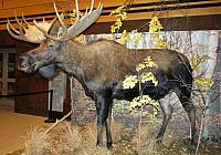 IMG 5666