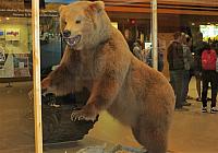 IMG 5667
