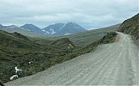 IMG 5817