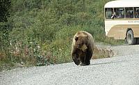 IMG 5860