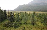 IMG 5948