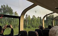 IMG 5978