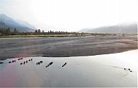 IMG 5987