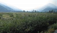 IMG 5992