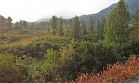 IMG 6001