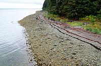 IMG 6080