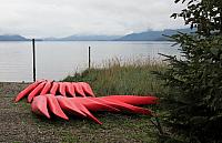 IMG 6087