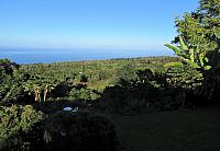 IMG 6465