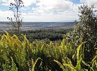 IMG 6471