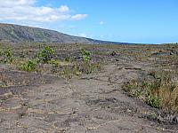 IMG 6472