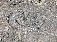 IMG 6474