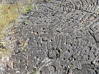 IMG 6479