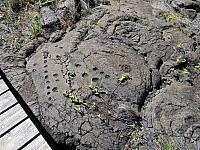 IMG 6484