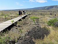 IMG 6490