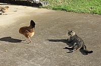 IMG 6515
