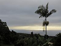 IMG 6535
