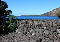 IMG 6547