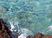 IMG 6561