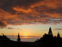 IMG 6579