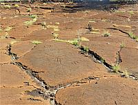 IMG 6590