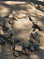 IMG 6592