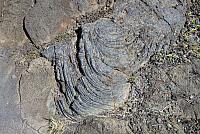 P1130312