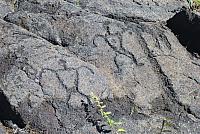 P1130328