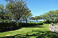 P1130428